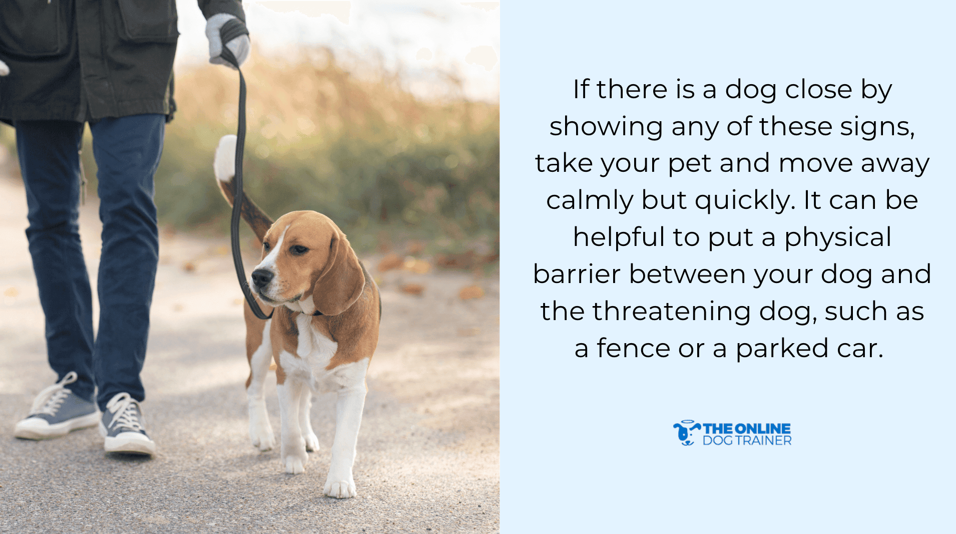 pet insurance for dog attacks