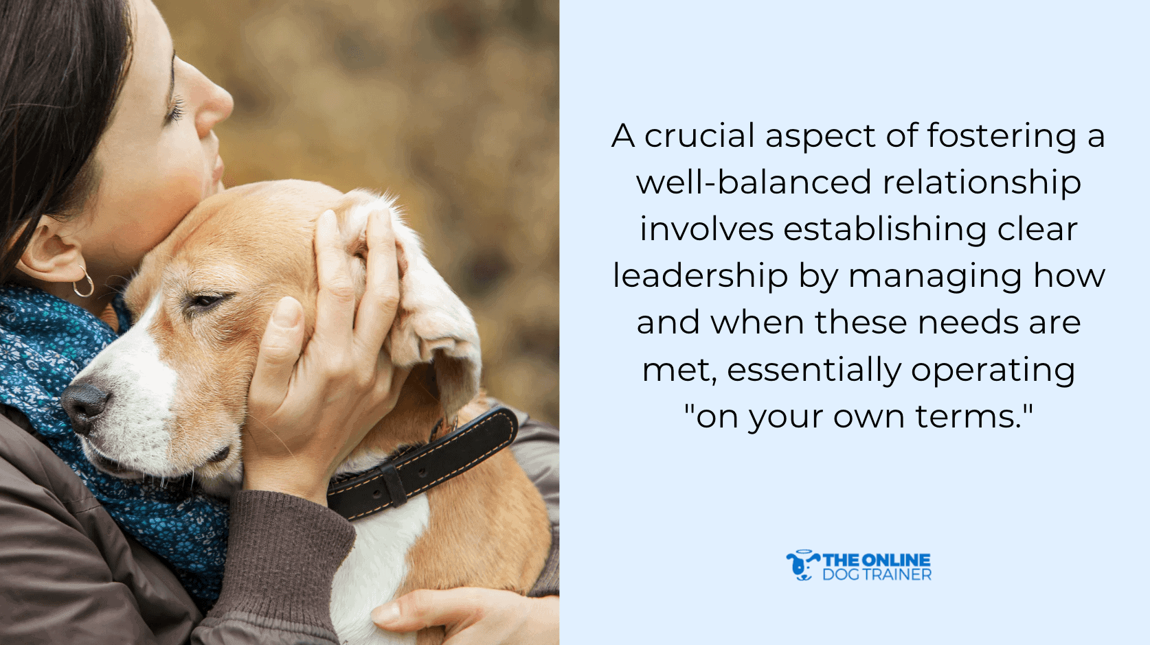 dog's anxiety insecure dogs