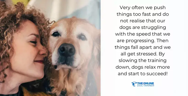 how to stop your dog from barking