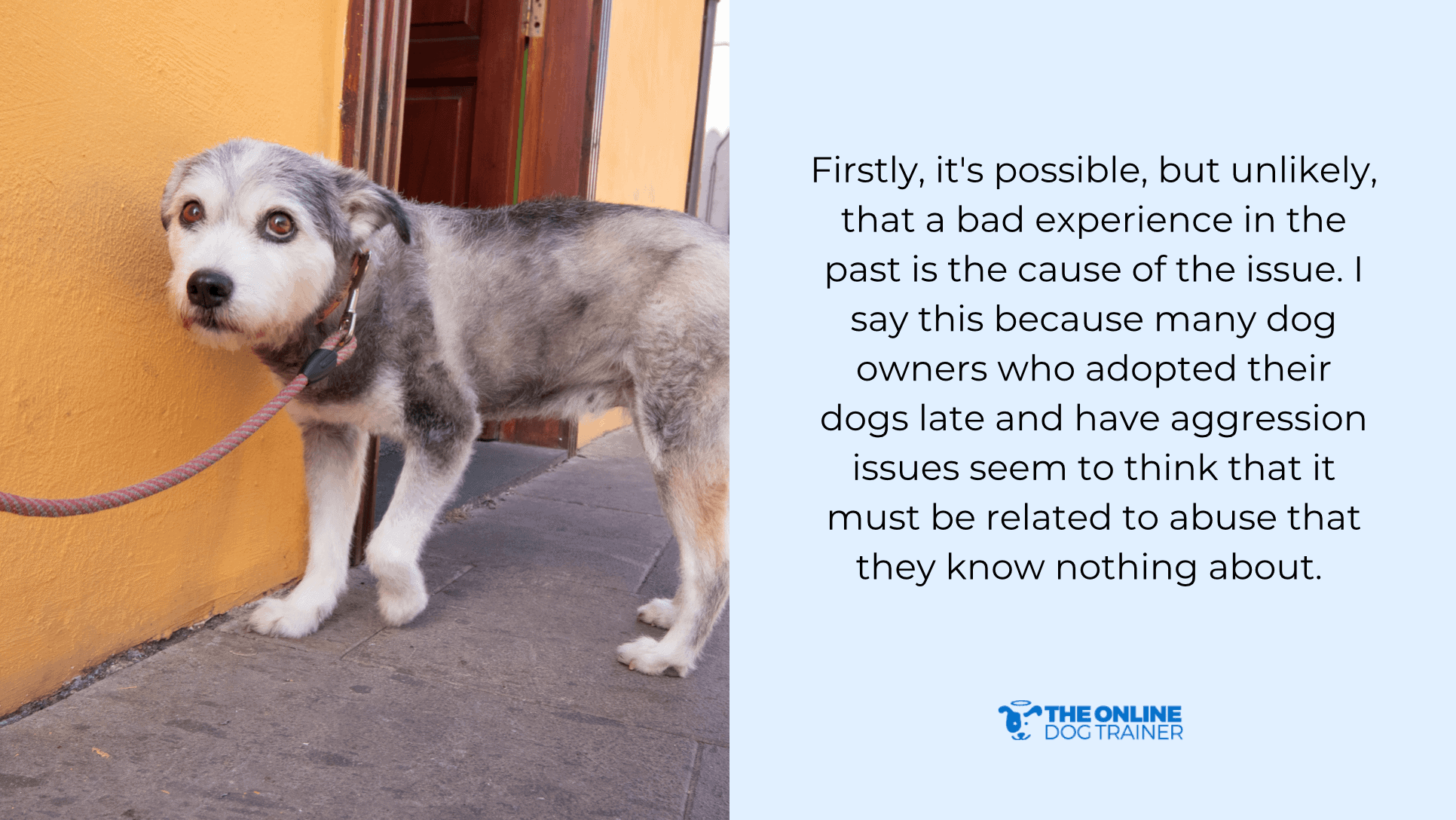 dog's emotions aggression