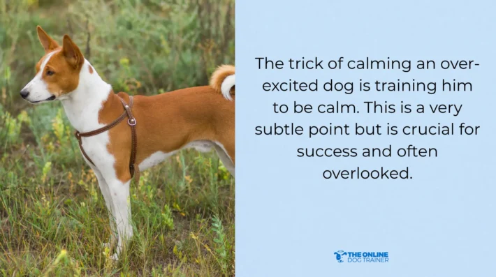 implement behavior modification