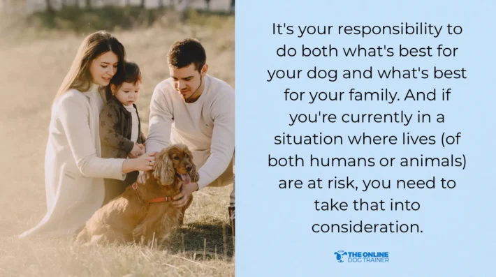 most dogs can overcome aggression