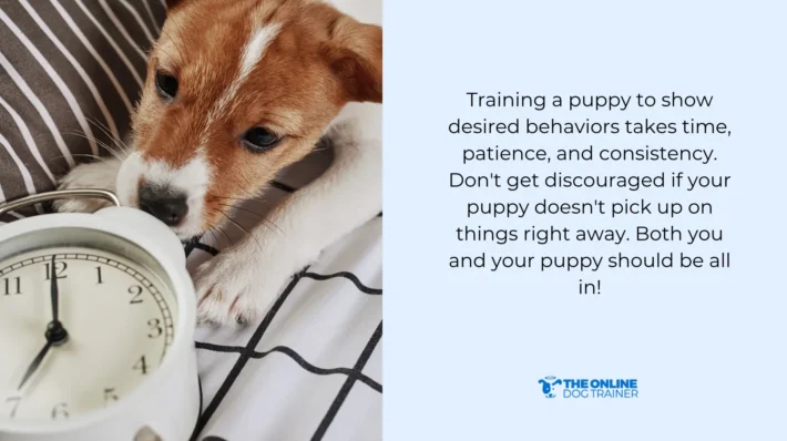 puppy training creates strong bond