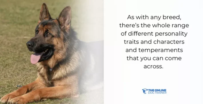 are german shepherds dangerous