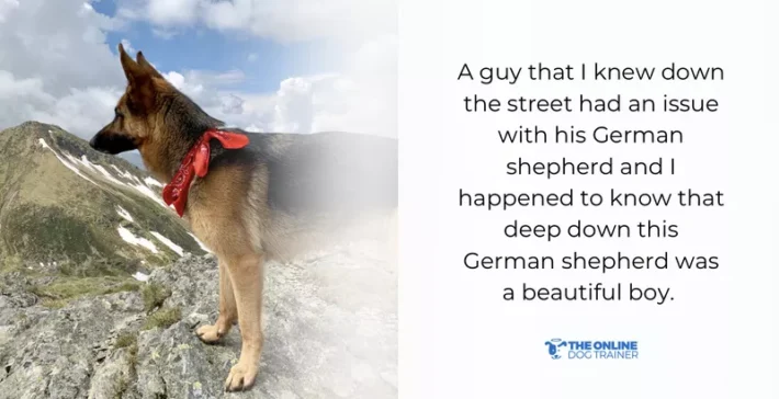 german shepherd behavior issues