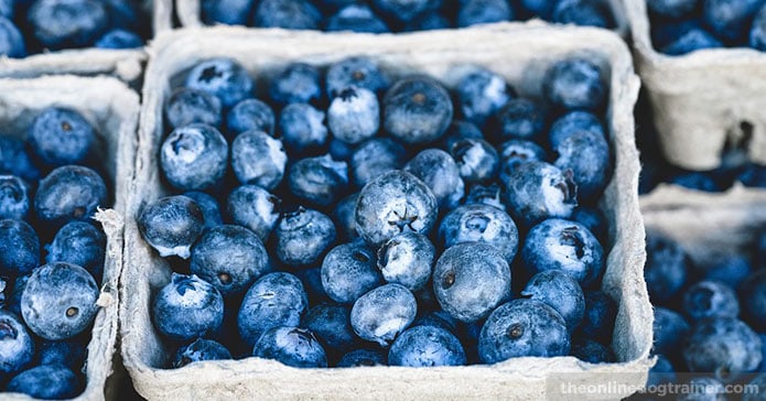 The-TOP-3-Dog-Popsicle-Recipes-of-ALL-TIME-BLOG-IMAGE2