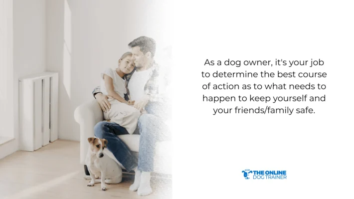 medical treatment for biting dogs