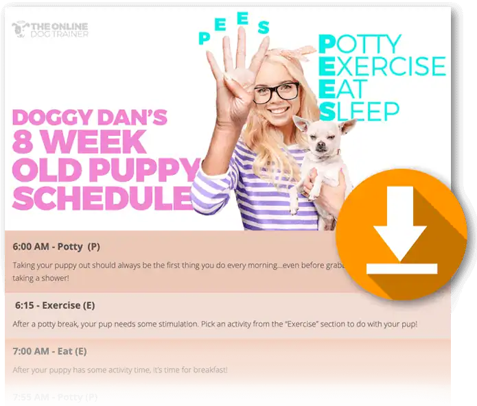 8-week-old-puppy-POTTY-schedule