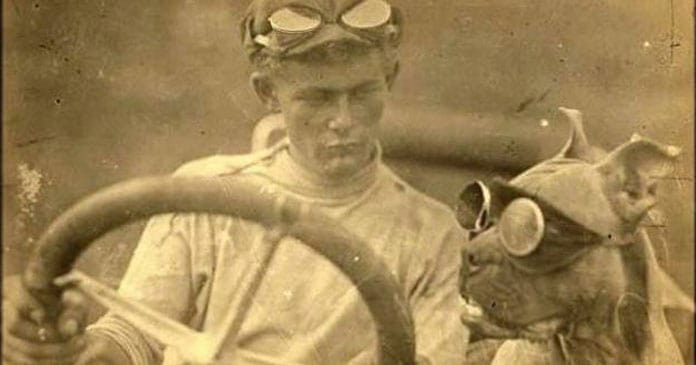 Celebrating-National-DogWeek-A-Tribute-to-10-Incredible-Canine-Companions-BLOG-IMAGES-4