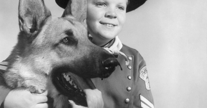 Celebrating-National-DogWeek-A-Tribute-to-10-Incredible-Canine-Companions-BLOG-IMAGES-7