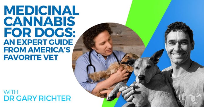 Doggy-Dan-Podcast-Show-NewDesign-FEATURED-HolisticVetCareRichter