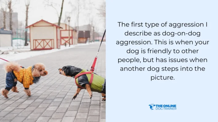 dangerous behavior problem dogs