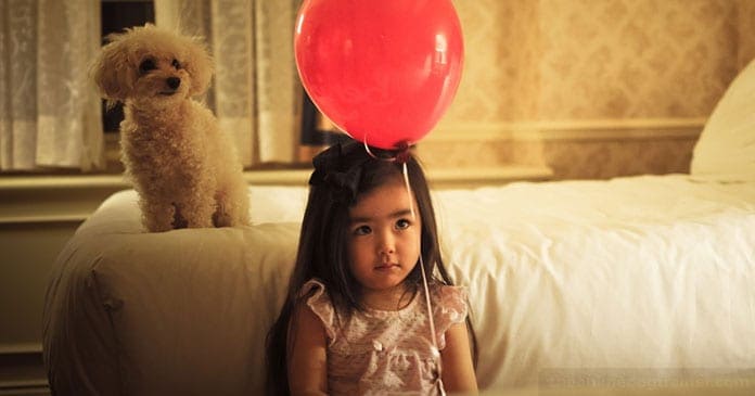 Christmas-Puppies-Are-You-Truly-Ready-For-The-Responsibility-of-a-Dog-BLOG-IMAGES-4