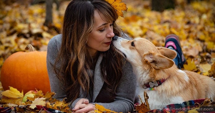 Dog-Appreciation-5-Things-to-Thank-Your-Dog-For-This-Thanksgiving-BLOG-IMAGES-1