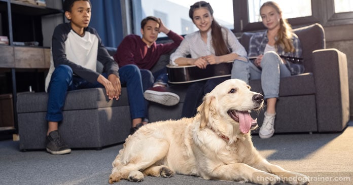 Doggy-Dans-7-Step-System-for-Keeping-Your-Dog-Off-the-Furniture-BLOG-IMAGES-1