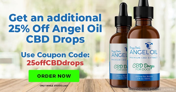 CBD-Oil-for-Dogs-The-Key-to-Training-Untrainable-Dogs-BLOG-IMAGES-4