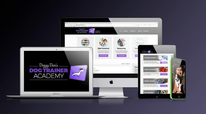 How-To-Become-a-Dog-Trainer-Finding-Stability-in-a-COVID-19-World-BLOG-IMAGES-4