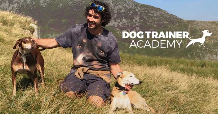 How-To-Become-a-Dog-Trainer-Finding-Stability-in-a-COVID-19-World-BLOG-IMAGES-5