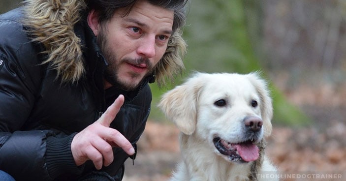 Stop-Disciplining-and-Start-Connecting-How-to-Improve-Dog-Obedience-BLOG-IMAGES-1