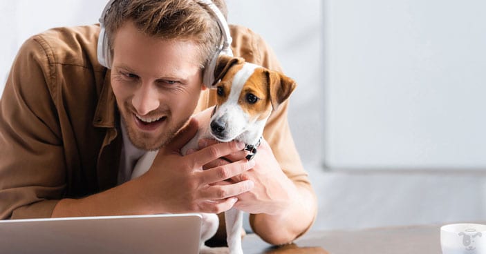 Doggy-Dan-Releases-New-State-of-the-Art-Membership-Website-BLOG-IMAGES-10