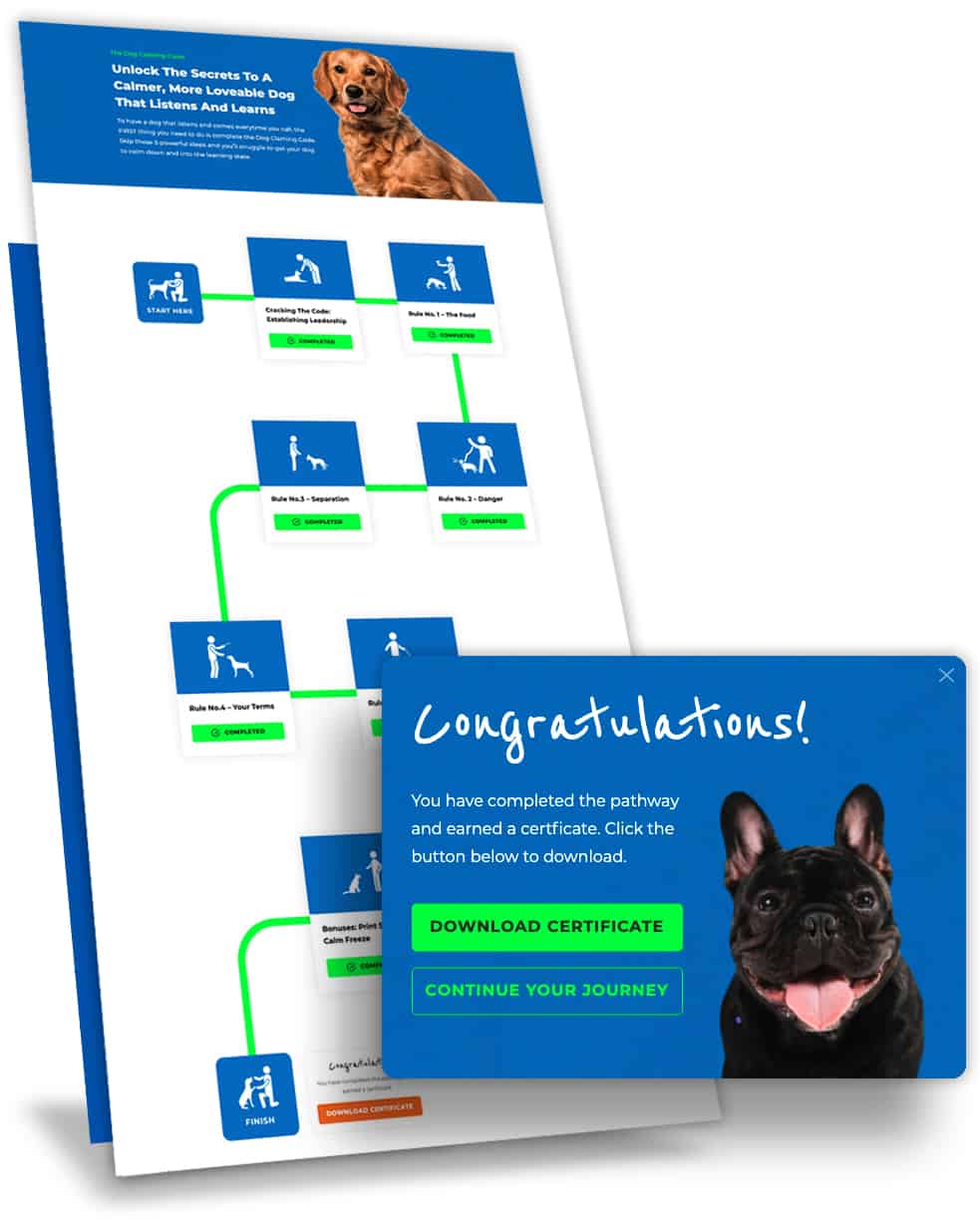 Doggy-Dan-Releases-New-State-of-the-Art-Membership-Website-BLOG-IMAGES-2