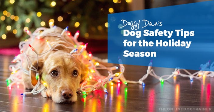 Doggy-Dan’s-Dog-Safety-Tips-for-the-Holiday-Season-HEADLINE