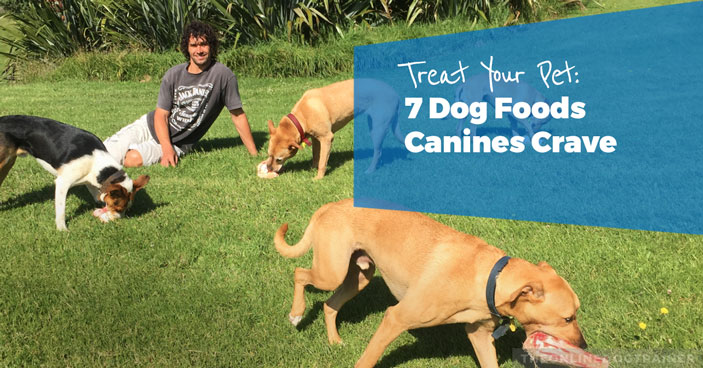 Treat-Your-Pet-7-Dog-Foods-Canines-Crave-HEADLINE