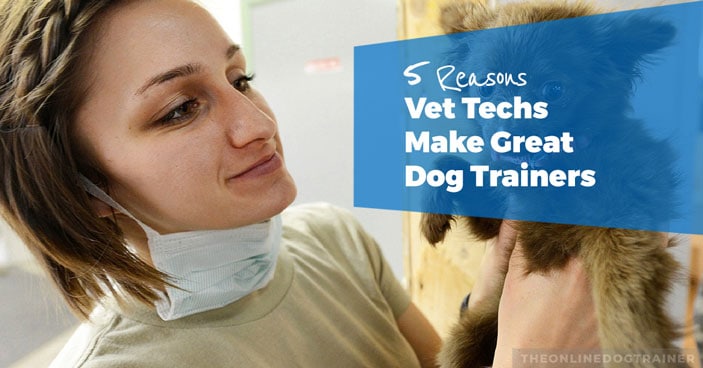 Vet-Tech-Careers-5-Reasons-Vet-Techs-Make-Great-Dog-Trainers--HEADLINE
