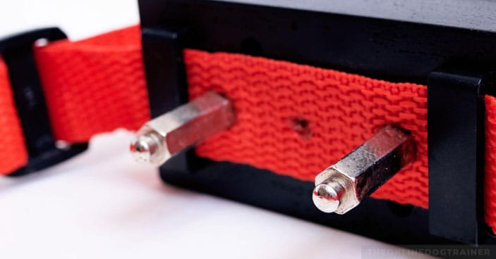 Why-Dog-Shock-Collars-Are-a-Totally-Unnecessary-and-Destructive-Training-Tool-BLOG-IMAGES-1