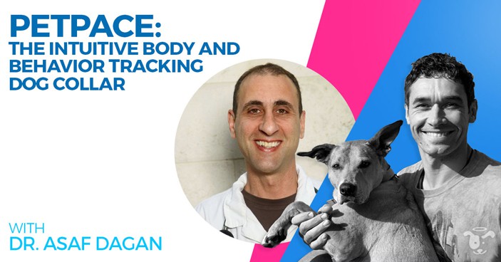 Doggy-Dan-Podcast-Show-HEADLINE-Intuitive-Body-and-Behavior-Tracking-Dog-Collar
