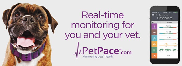 petpace_banner