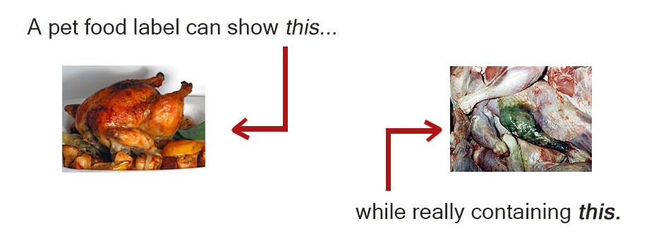 Podcast-Susan-Thixon-The-Scary-Truth-Behind-Dog-Food-Labels-PODCAST-IMAGE-1