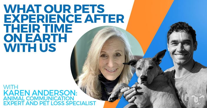 PODCAST-Karen-Anderson-What-Our-Pets-Experience-After-Their-Time-On-Earth-With-Us-HEADLINE-Image
