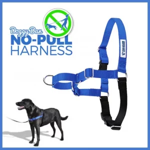 Doggy Dan No-Pull Harness (40% Off Coupon Applied!)