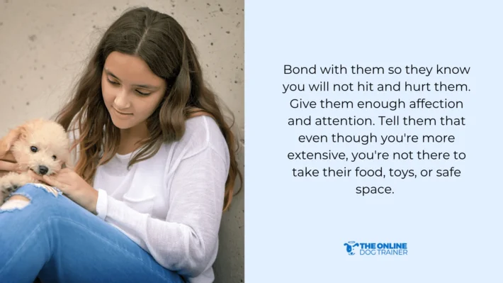 discourage biting by establishing leadership