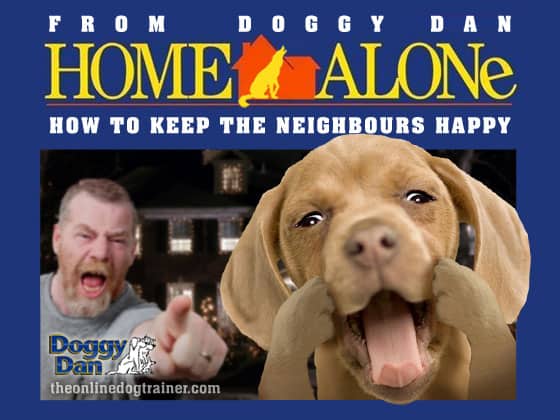 How to stop dog barking when left at home alone