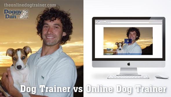 Real dog trainer compared to online dog training