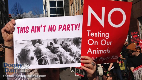 Doggy-Dan-Dog-March-Protest-Gallery2