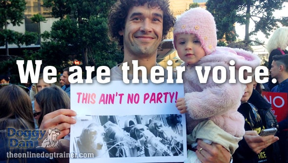 Doggy-Dan-Dog-March-Protest-Gallery5