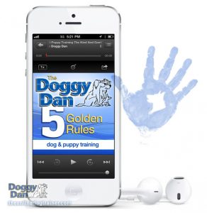 Doggy Dan's Introduction to his 5 Golden Rules