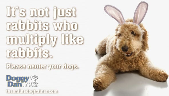 Please neuter your dog