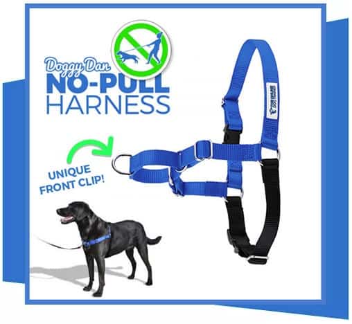 No-pull Harness