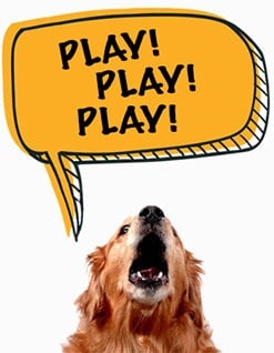 speech-bark-bubble-Play