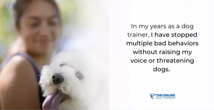 best location for dog timeout