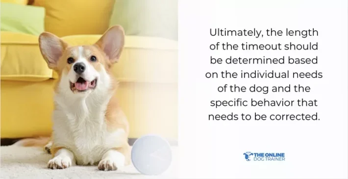 dog timeout techniques for dog owners