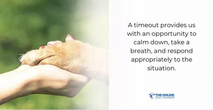 how to change rude dog behavior with a timeout