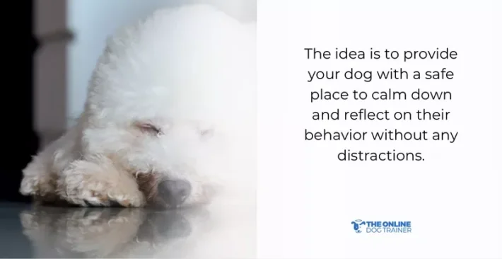 verify timeout plan with dog trainer