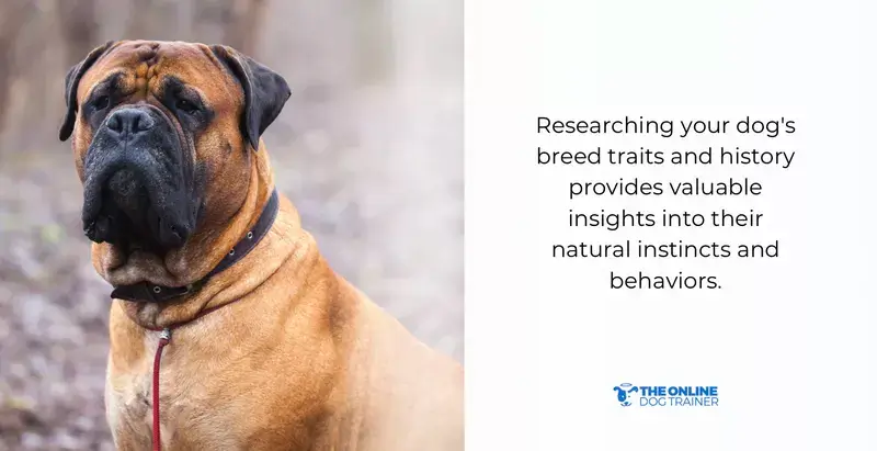 animal behavior dog psychology