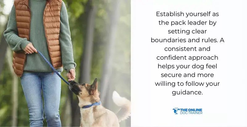 how to know what my dog is thinking