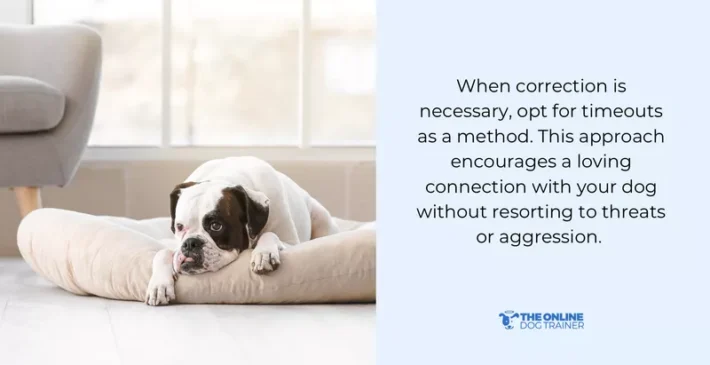 dog role in the family pack